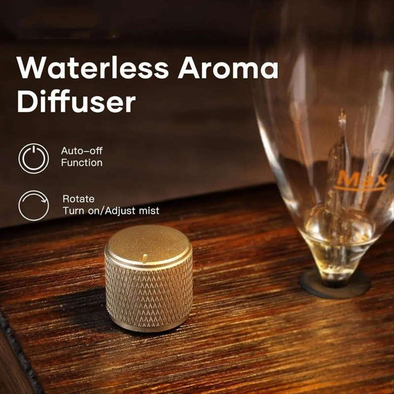 Advanced Niche Retro Solid Woo - Home Fragrance Device 评论和价格