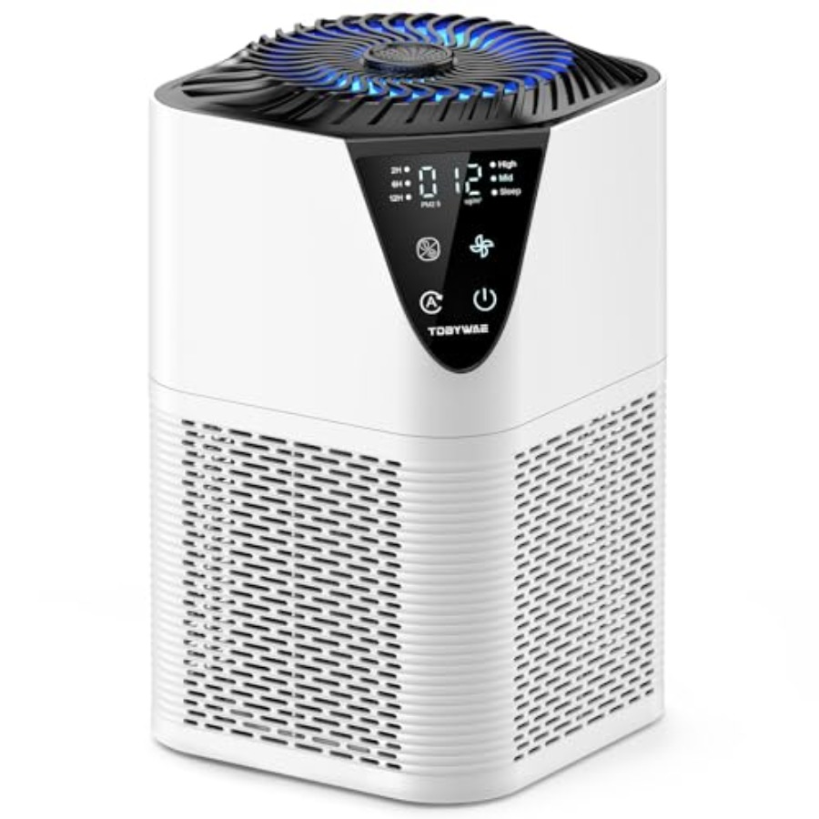 Air Purifiers for Home Large R - Home Fragrance Large 评论和价格