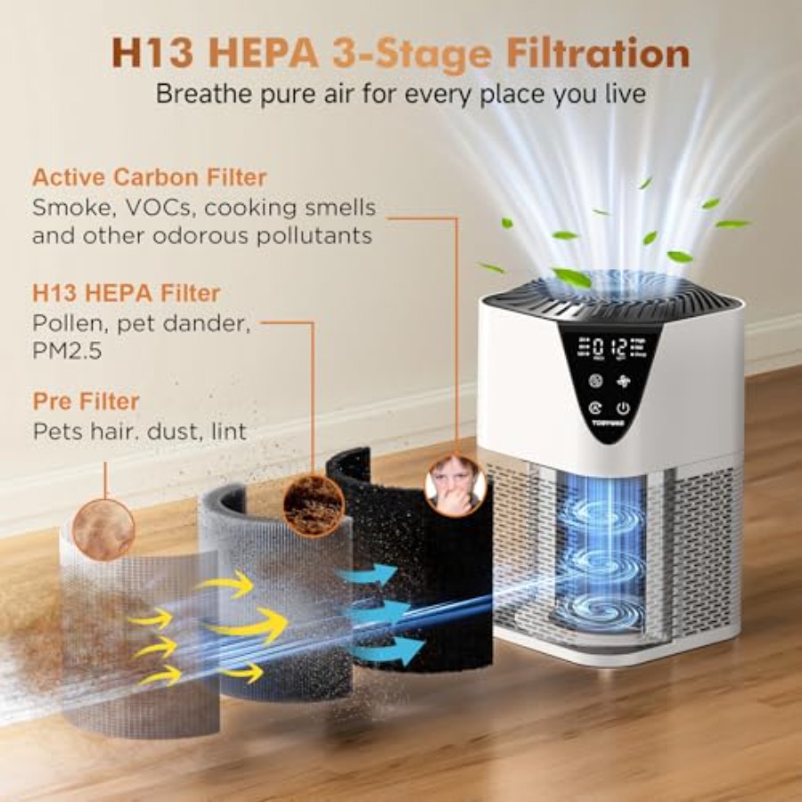 Air Purifiers for Home Large R - Home Fragrance Large 评论和价格