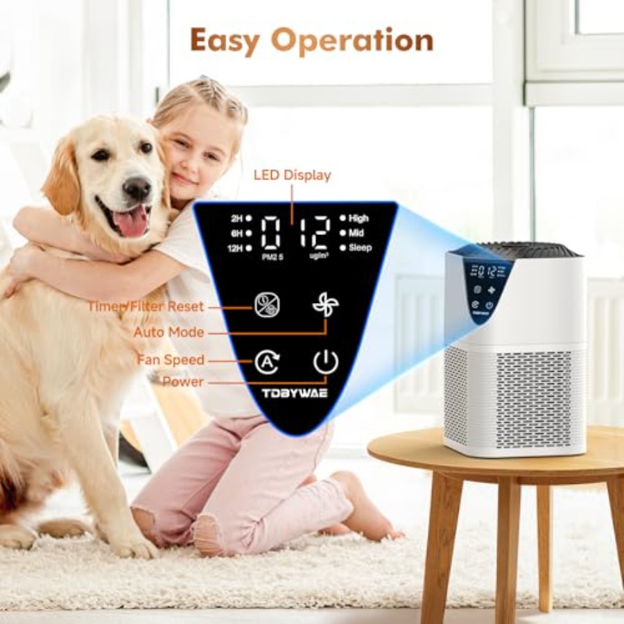 Air Purifiers for Home Large R - Home Fragrance Large 评论和价格