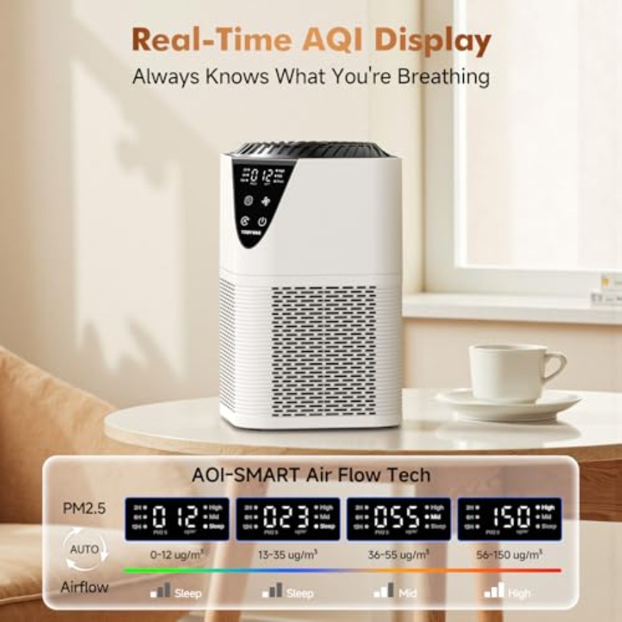 Air Purifiers for Home Large R - Home Fragrance Large 评论和价格