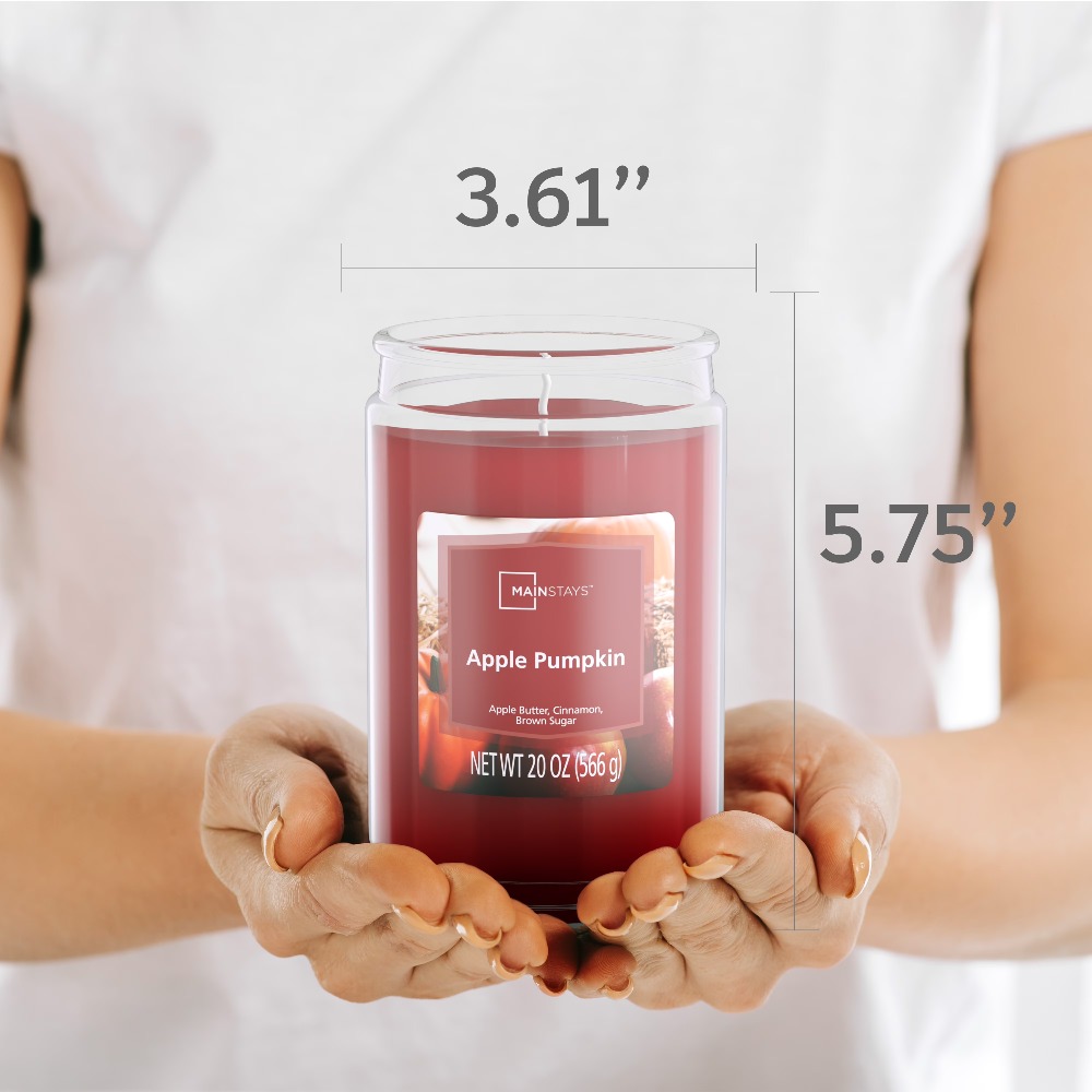 Single Wick Scented Glass Jar  - Home Fragrance Large 评论和价格