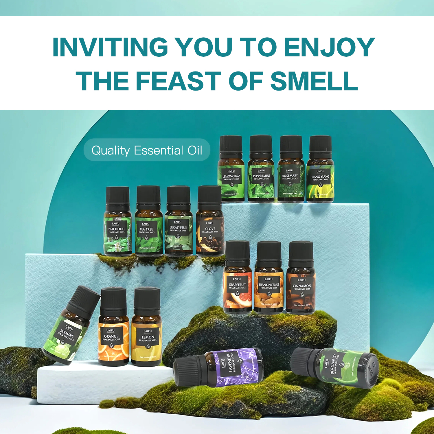 16x10ml Essential Oils Set for - Home Fragrance Set 评论和价格