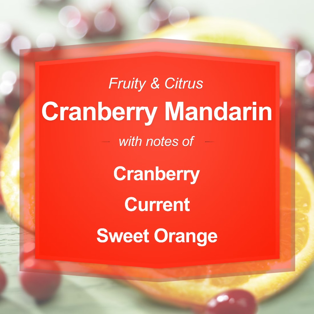 Cranberry Mandarin Scented Can - Home Fragrance Large 评论和价格
