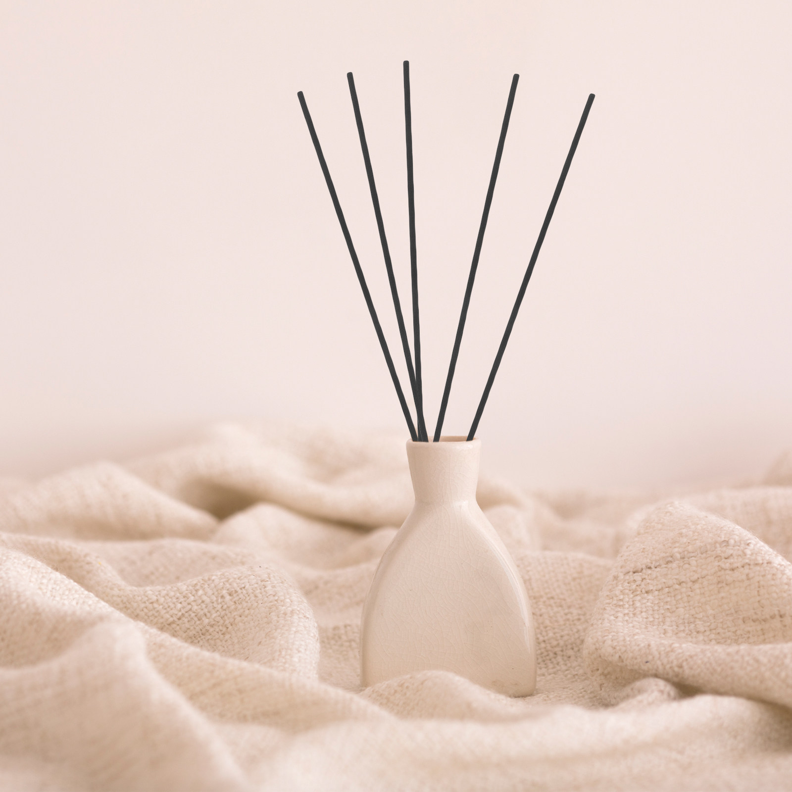 100Pcs Fibre Reed Diffuser Sti - Home Fragrance Essential Oils 评论和价格