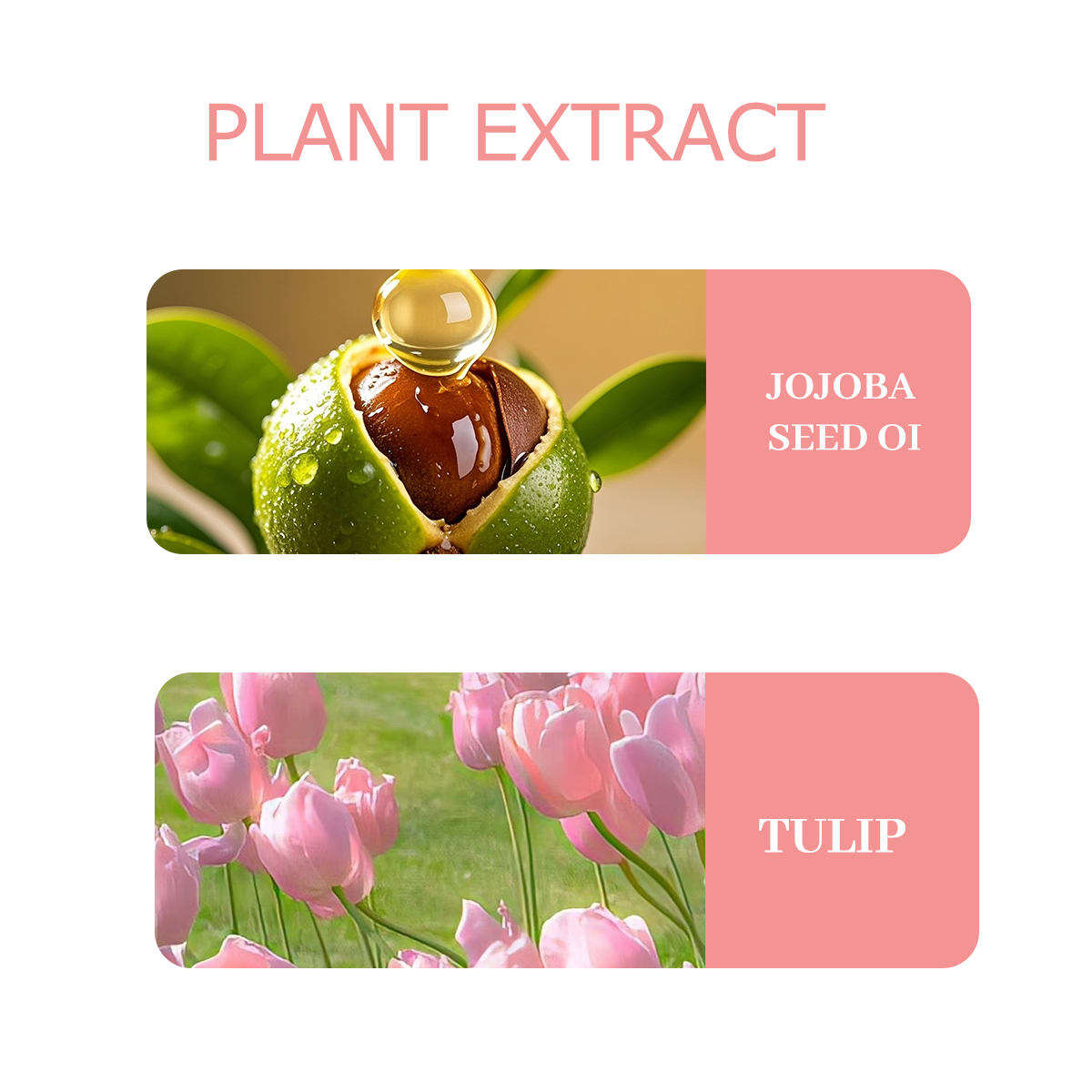 NIVAVIN 30ml/60ml/100ml Tulip  - Home Fragrance Co 评论和价格